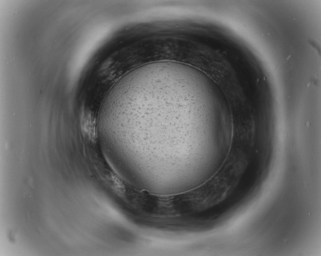 X0000103290766200809122007