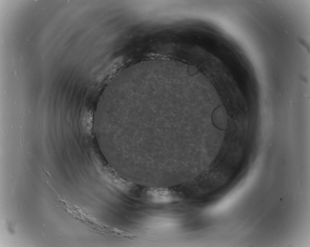 X0000103290767200809122008