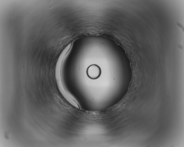 X0000103290768200809122008