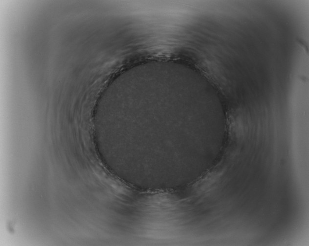 X0000103290769200809122007