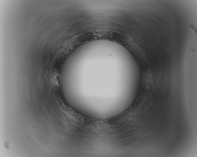 X0000103290770200809122007