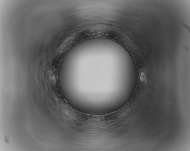 X0000103290771200809122006