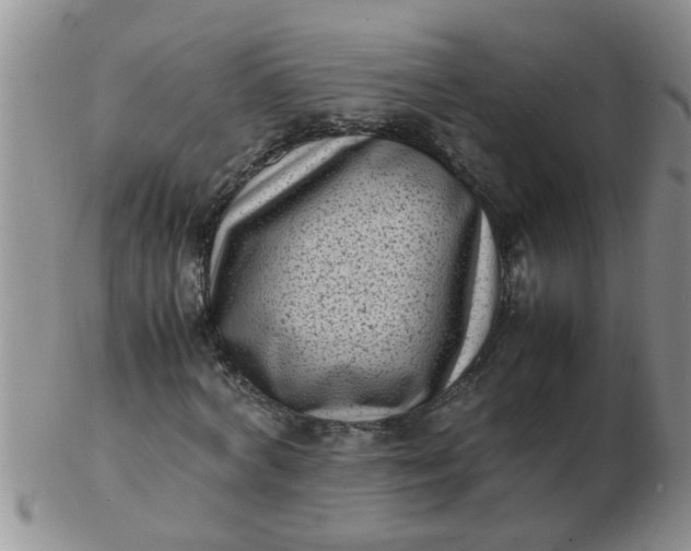 X0000103290772200809122006