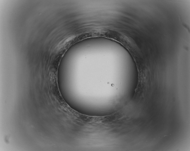 X0000103290773200809122006