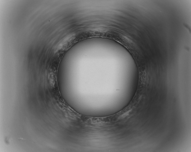 X0000103290774200809122006