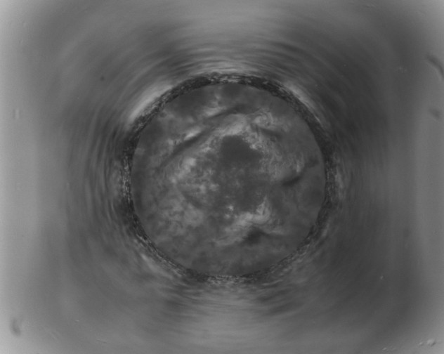 X0000103290775200809122006