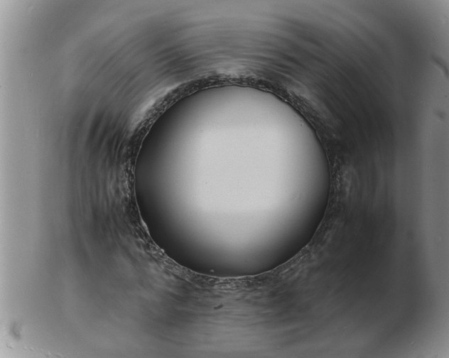 X0000103290776200809122006