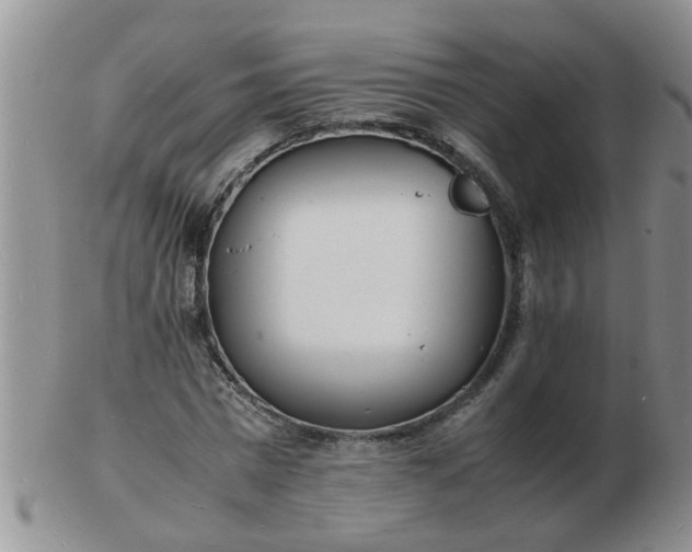 X0000103290777200809122006