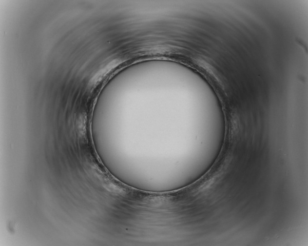 X0000103290778200809122006