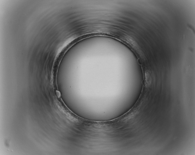 X0000103290780200809122006