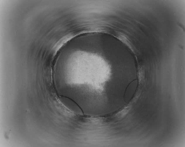 X0000103290781200809122006