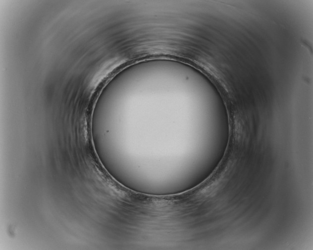 X0000103290782200809122006