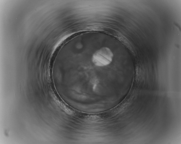 X0000103290784200809122006