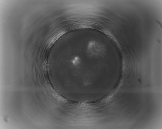 X0000103290785200809122006