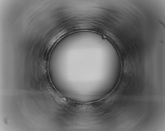 X0000103290786200809122006