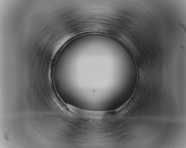 X0000103290788200809122006