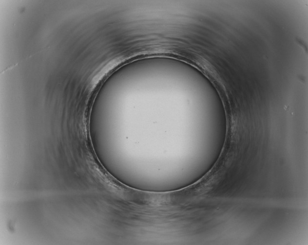 X0000103290789200809122006