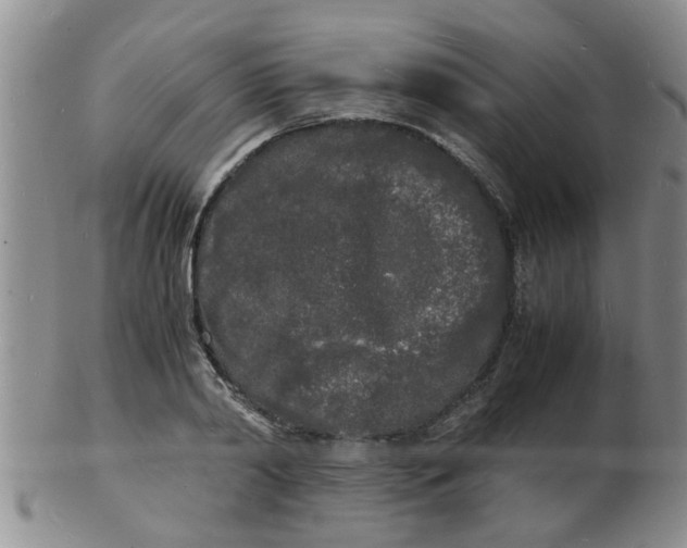 X0000103290790200809122006