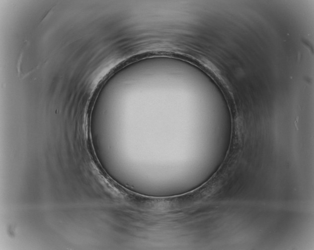 X0000103290791200809122006