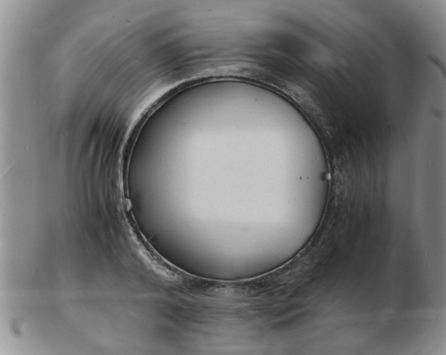 X0000103290792200809122006