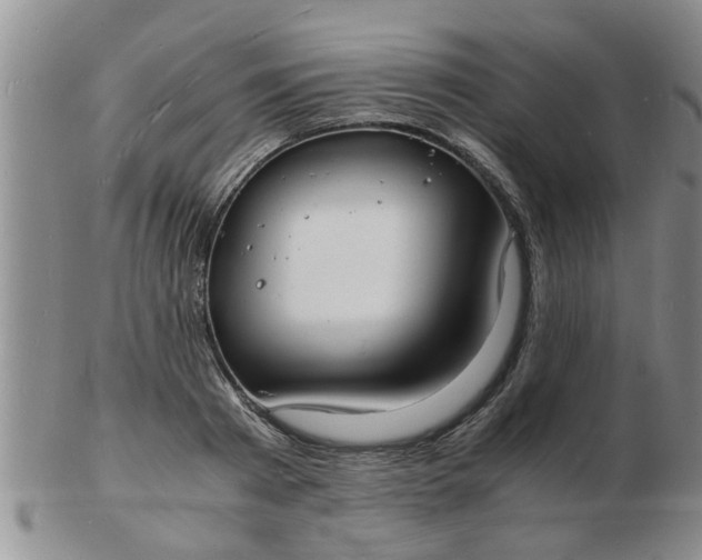 X0000103290793200809122006