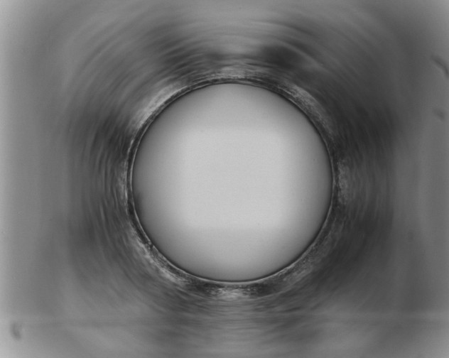 X0000103290794200809122006