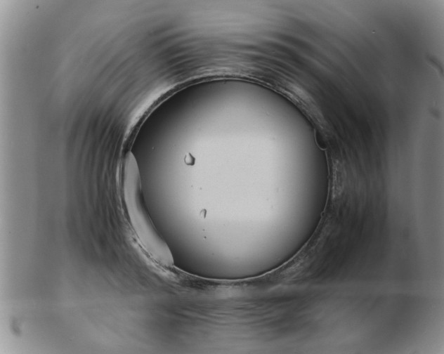 X0000103290796200809122006