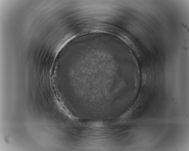 X0000103290798200809122006