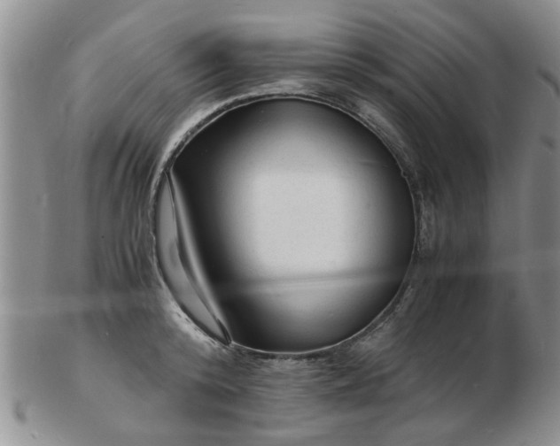 X0000103290800200809122006