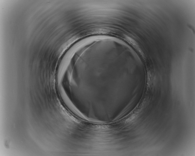 X0000103290802200809122006