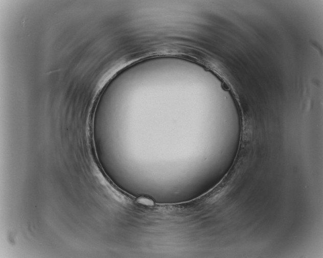 X0000103290803200809122006