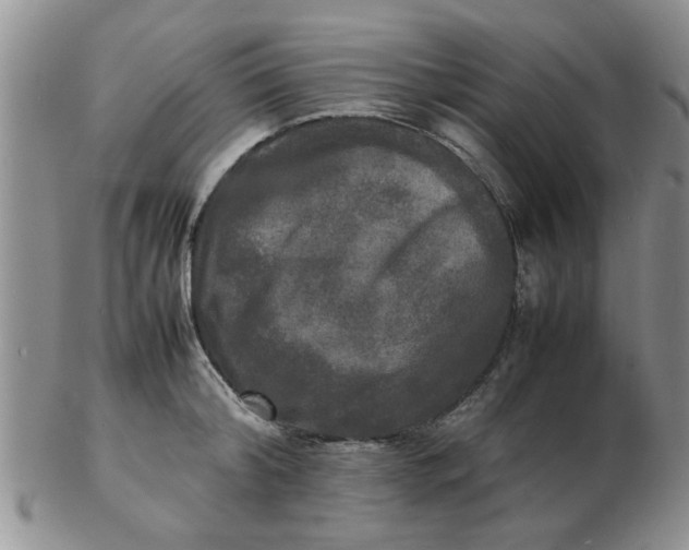 X0000103290804200809122006