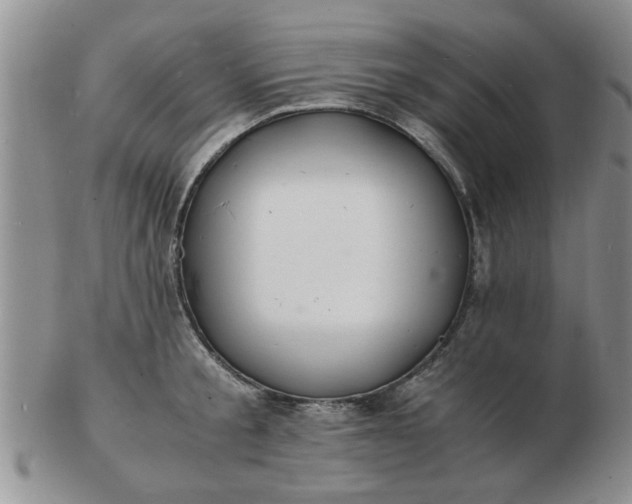 X0000103290805200809122006