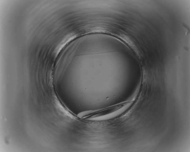 X0000103290806200809122006