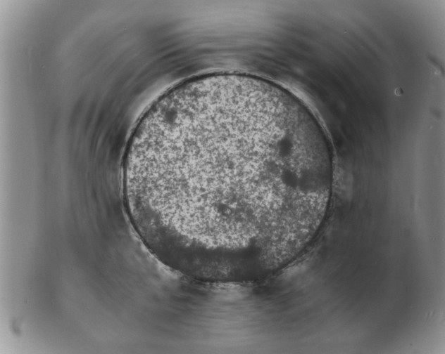 X0000103290807200809122006