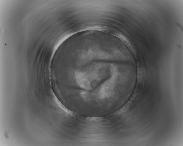 X0000103290808200809122006