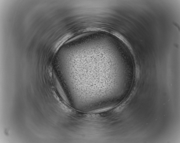 X0000103290809200809122006