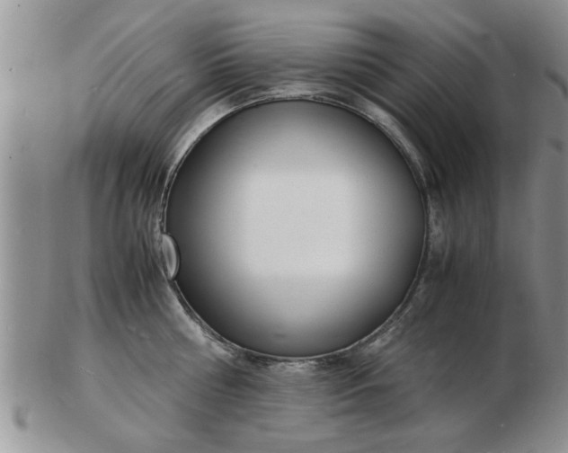 X0000103290810200809122006