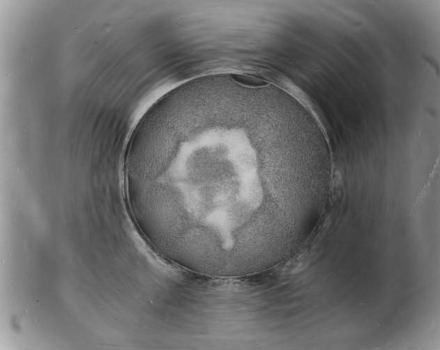 X0000103290811200809122006