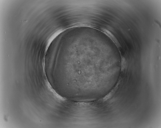 X0000103290812200809122006