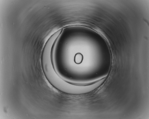 X0000103290813200809122006