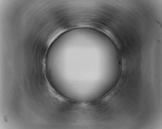 X0000103290814200809122006