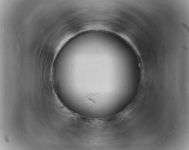 X0000103290815200809122006