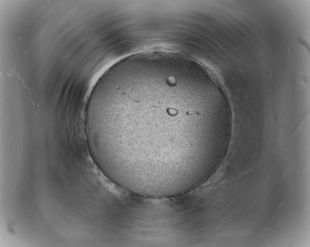 X0000103290816200809122006