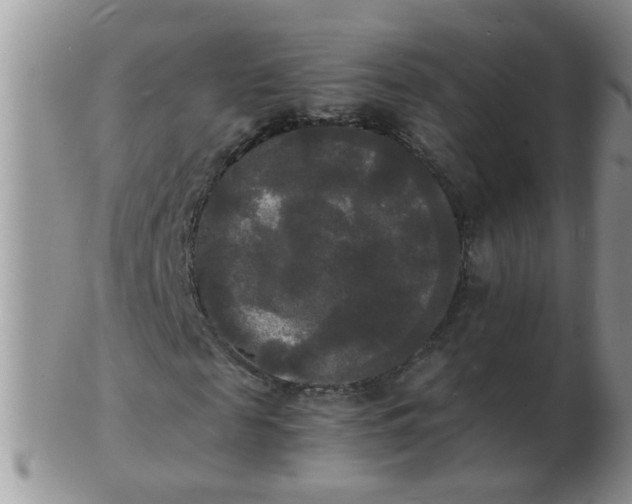 X0000103290817200809122005