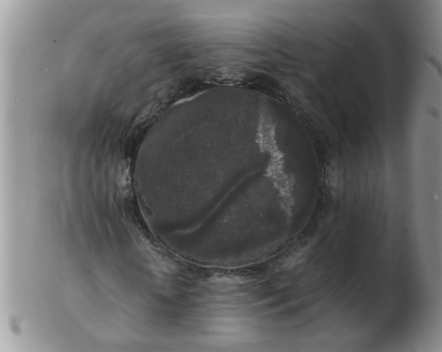 X0000103290818200809122005