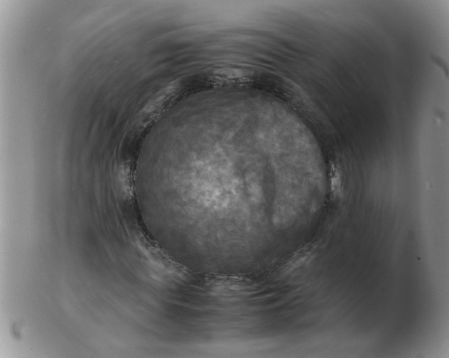 X0000103290819200809122005