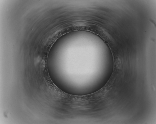 X0000103290821200809122005