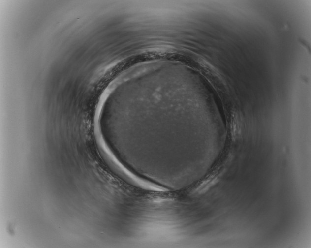 X0000103290822200809122005