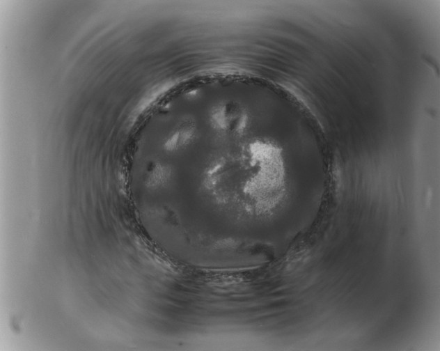 X0000103290823200809122005